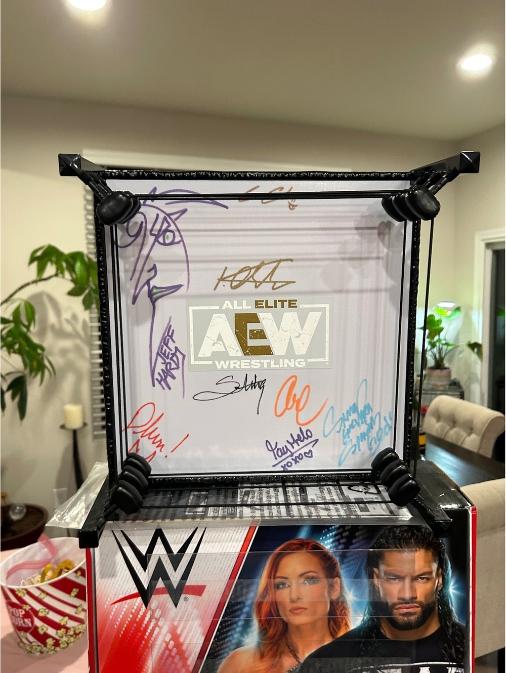 Autographed AEW ring by Danhausen Jeff Hardy sting, cold cabana